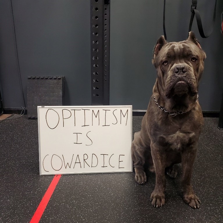 Dog sitting with a Optimism is Cowardice sign