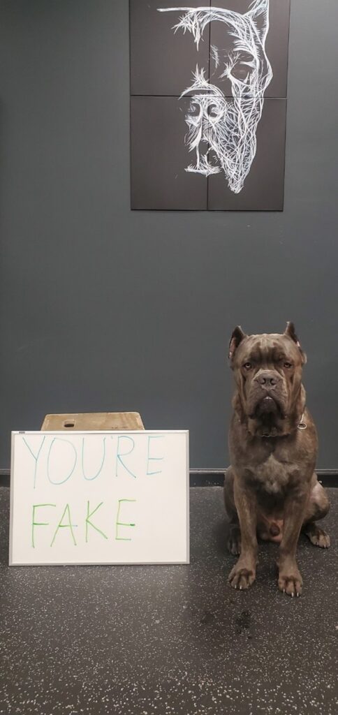 Dog sitting with a You are a fake sign